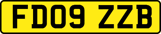 FD09ZZB
