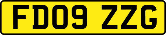 FD09ZZG