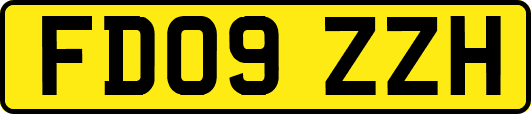 FD09ZZH