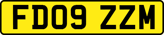 FD09ZZM
