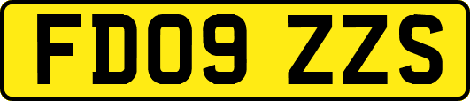 FD09ZZS