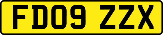 FD09ZZX