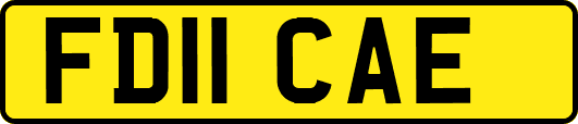 FD11CAE
