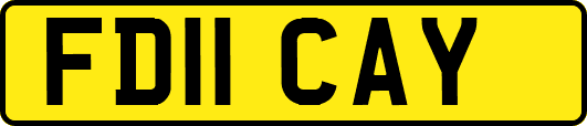 FD11CAY