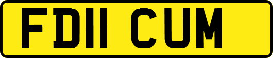 FD11CUM