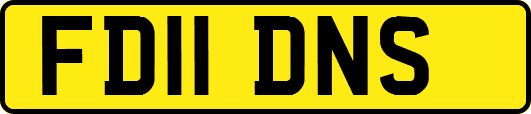 FD11DNS