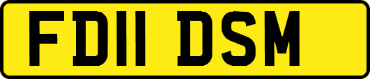 FD11DSM