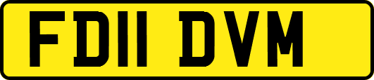 FD11DVM