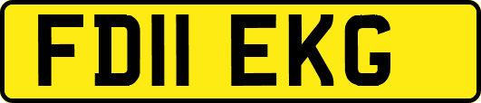 FD11EKG