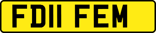 FD11FEM