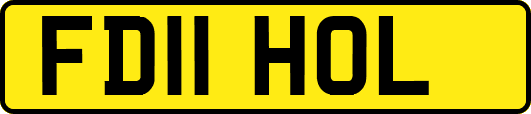 FD11HOL