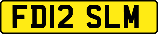 FD12SLM