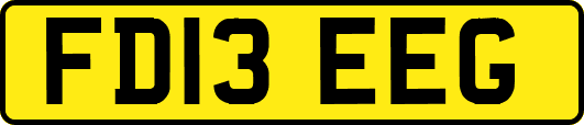 FD13EEG