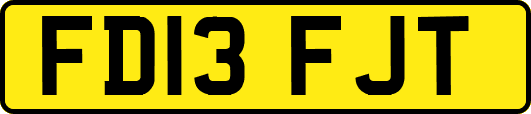 FD13FJT