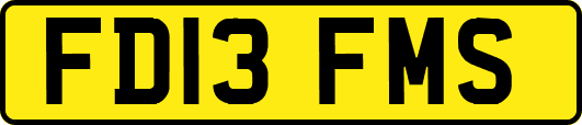 FD13FMS