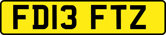 FD13FTZ