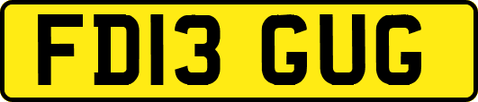 FD13GUG