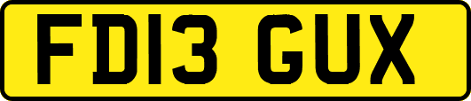 FD13GUX