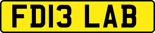 FD13LAB