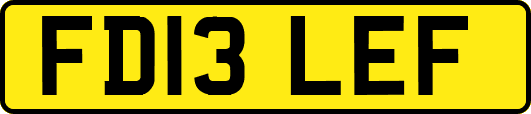 FD13LEF