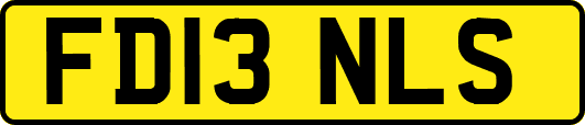 FD13NLS