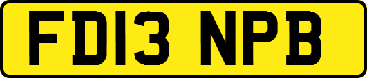 FD13NPB