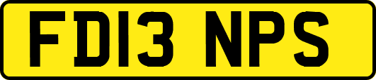 FD13NPS