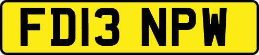 FD13NPW