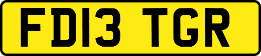 FD13TGR