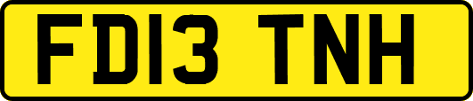 FD13TNH