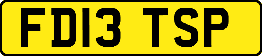 FD13TSP