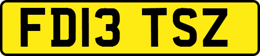 FD13TSZ