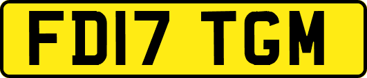 FD17TGM