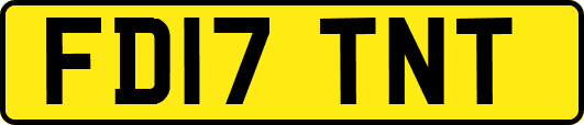 FD17TNT