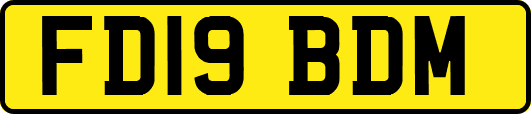 FD19BDM