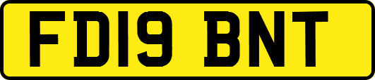 FD19BNT
