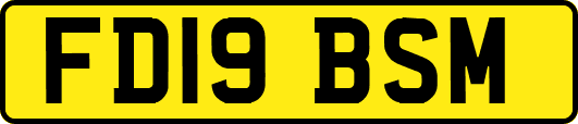 FD19BSM