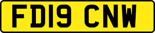 FD19CNW