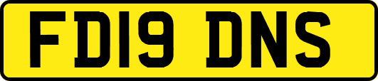 FD19DNS
