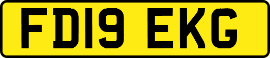 FD19EKG