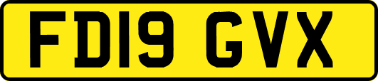 FD19GVX