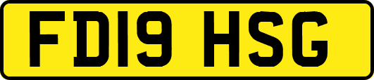 FD19HSG