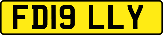 FD19LLY