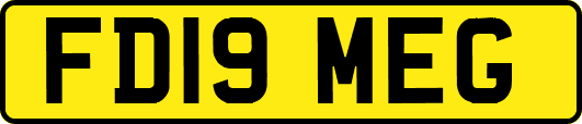 FD19MEG