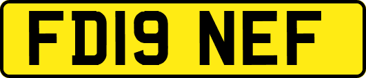 FD19NEF