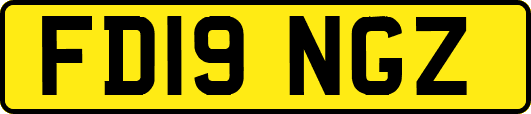 FD19NGZ