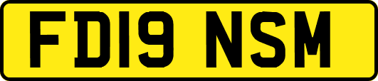FD19NSM