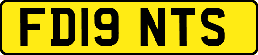 FD19NTS