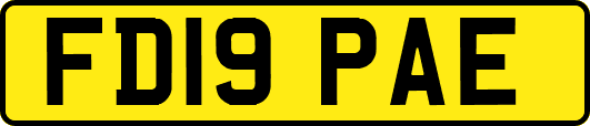 FD19PAE