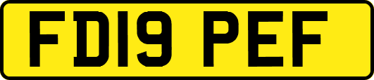 FD19PEF